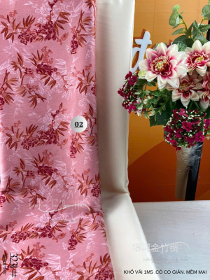 NGÂN HÀ HƯƠNG DÂU #02